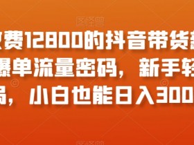抖音带货爆单秘籍：新手小白日入300+的12800元付费玩法大揭秘-54创业网