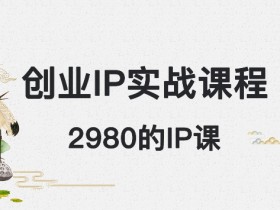 创业IP课程：私域变现月入5w+，外边卖2980的实战干货-54创业网