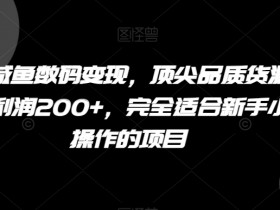 咸鱼数码变现实操：新手小白轻松赚200+一单，顶尖货源揭秘-54创业网