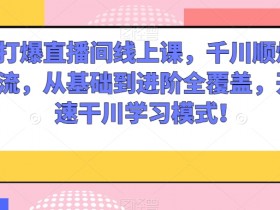 千川打爆直播间线上课：顺烧刺激自然流，从基础到进阶快速干川-54创业网