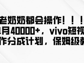 vivo短视频创作分成计划：单月赚4万+，新手无脑操作，老奶奶都能学会！-54创业网