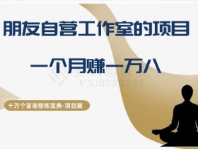 16个朋友自营工作室项目：月赚1万8的十万个富翁修炼宝典-54创业网