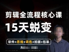 阿晖剪辑高手训练营：5合1剪辑思维调色拍摄包装，零基础速成-54创业网