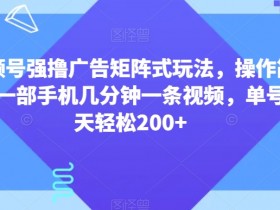 视频号广告矩阵玩法：1部手机日赚200+，几分钟1条视频，操作超简单！-54创业网