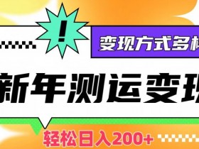 2024新年运势测试赚钱项目：轻松日入200+，多种变现玩法大公开-54创业网