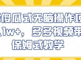 傻瓜式无脑操作：多多视频带货月入1w+保姆教学【揭秘】-54创业网
