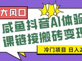 寒假AI赚钱项目：咸鱼抖音AI体验课搬砖变现，小白日入2000+冷门玩法-54创业网