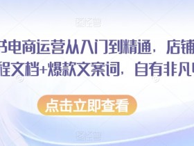 小红书电商运营教程：店铺入驻流程+爆款文案词，新手轻松赚钱秘籍-54创业网