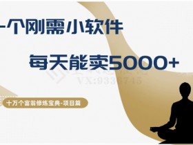 日赚5000+的刚需小软件：十万个富翁修炼宝典第17期-54创业网