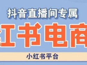 小红书电商运营课：高级实操技巧+爆款案例解析，快速提升销量-54创业网