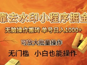 去水印小程序搬砖日赚1000+：无脑操作保姆教程【可批量放大】-54创业网
