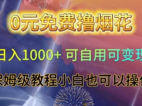 0元撸烟花日赚1000+教程：小白轻松上手，自用变现全攻略【限时揭秘】-54创业网