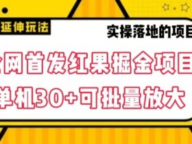 红果短剧掘金项目：单机日赚30+可批量操作，免费教程大揭秘-54创业网