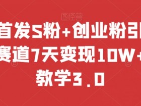 7天变现10W+：S粉创业粉引流秘籍，成人赛道保姆教学3.0大揭秘-54创业网