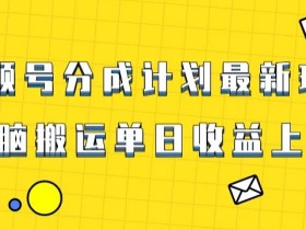 视频号搬运玩法：爆火赛道揭秘，无脑过原创日赚1000+-54创业网