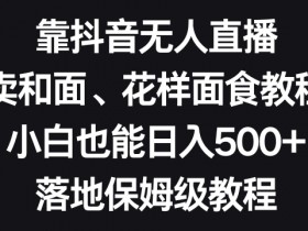 抖音无人直播卖和面教程：小白日赚500+的花样面试技巧，保姆级揭秘-54创业网
