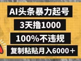 AI起号3天赚1000：暴力起号不违规，复制粘贴月入6000+实操揭秘-54创业网