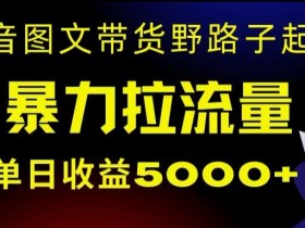 抖音带货野路子：单日赚5000+的暴力起号玩法，手机就能做！-54创业网