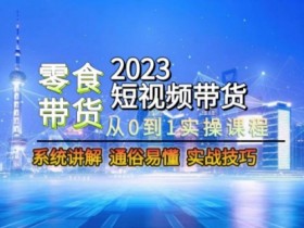 2023零食短视频带货实战课：0-1系统教学，新手必学爆单技巧-54创业网