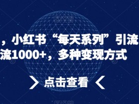 小红书每天系列引流秘籍：日引流1000+的流量密码与变现技巧-54创业网