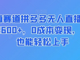 蓝海赛道拼多多无人直播：0成本日赚2600+，小白轻松上手赚钱秘籍-54创业网