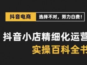 抖音小店运营实操指南：精细化保姆级教程，从0到1打造爆款店铺-54创业网