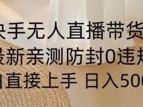 快手无人直播带货教程：0粉开播防封技巧，新手日赚500+实战教学-54创业网