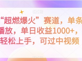 抖音超燃爆火赛道揭秘：单条千万播放，日赚1000+，新手轻松上手可过中视频-54创业网