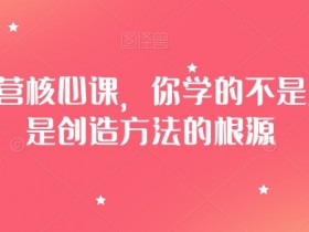 淘系运营核心课：掌握创造方法的根源，轻松提升店铺流量-54创业网