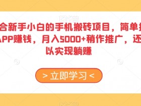 新手手机搬砖项目：简单搜素APP赚钱，月入5000+躺赚秘籍-54创业网