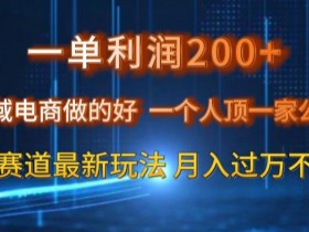 私域电商蓝海赛道：一单利润200，一个人如何顶一家公司-54创业网