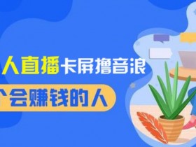 2024无人直播卡屏撸音浪新教程：日入1000+稳定收益，无需看守轻松上手【12月独家揭秘】-54创业网