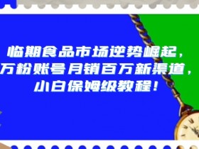 临期食品赚钱秘籍：万粉账号月销百万，新手小白也能轻松入局-54创业网
