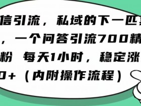 微信创业粉日引100秘籍：AI问答1小时精准引流新赛道-54创业网