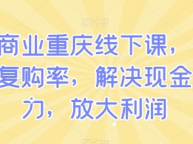 重庆私域商业课：3招提升复购率，破解现金流压力，利润翻倍实战-54创业网