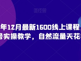 猴帝1600线上课程：0粉起号实操教学，23年12月最新自然流量天花板-54创业网