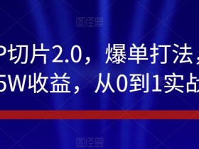 抖音IP切片2.0爆单攻略：千粉号5W收益实战教学，0基础速成秘籍-54创业网