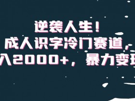成人识字冷门项目揭秘：如何日赚2000+快速变现逆袭人生-54创业网