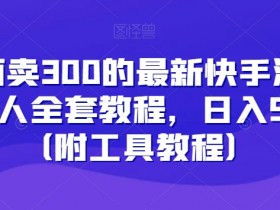 最新快手游戏合伙人教程：日入500+全套攻略，附300元付费工具-54创业网