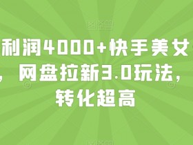 快手美女无人挂播日赚4000+：网盘拉新3.0男粉暴利玩法大揭秘-54创业网