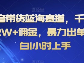 抖音带货赚钱秘籍：千粉账号日赚2W+，新手1小时快速上手实操攻略-54创业网