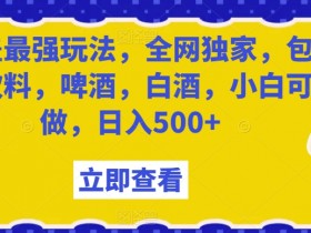 饮料啤酒白酒瓶盖回收赚钱秘籍：小白日入500+最强玩法大揭秘-54创业网