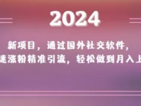 2024新项目：国外社交软件精准引流涨粉，轻松月入上万揭秘-54创业网