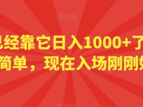 小白日入1000+的赚钱秘籍：简单操作，现在入场正当时！-54创业网