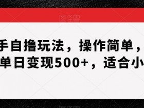 快手自撸玩法揭秘：小白轻松上手，日赚500+实操教程-54创业网