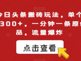 今日头条搬砖玩法：单条作品变现300+，1分钟原创流量爆炸！-54创业网