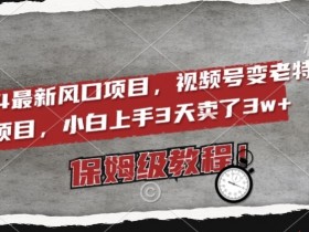 2024视频号变老特效项目：电脑小白3天赚3w+保姆级教程【揭秘】-54创业网