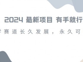 2024国学赚钱项目揭秘：小白速学月入过万，轻松过好年-54创业网