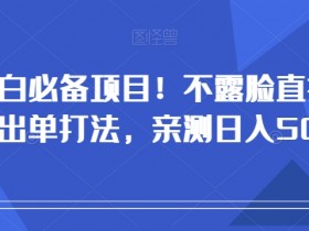 不露脸直播带货出单攻略：小白日入500+实战技巧大揭秘-54创业网