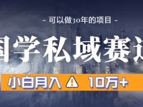 暴力国学私域赚钱秘诀：小白如何月入10万+？引流转化全流程大揭秘-54创业网